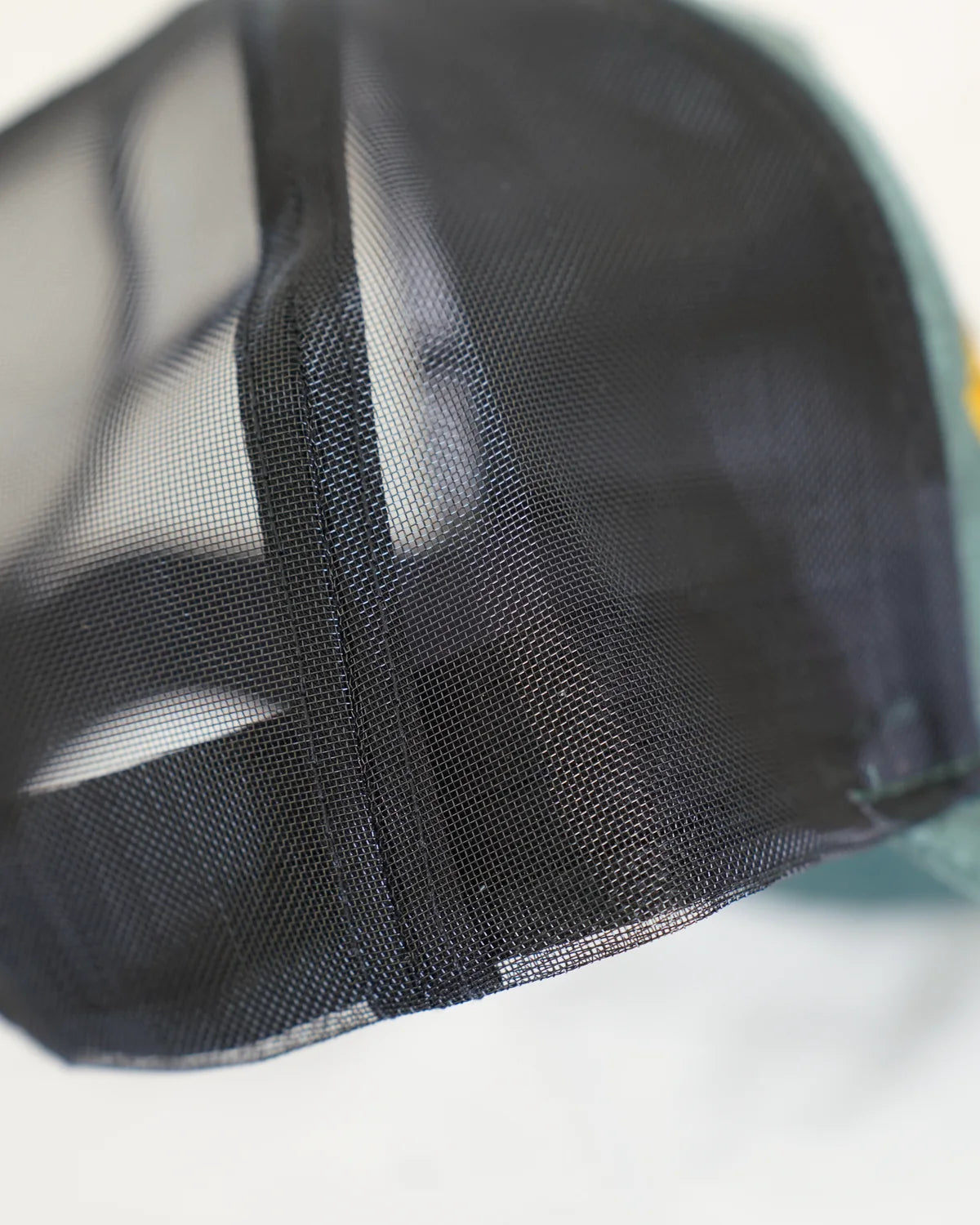 Le Vert-de-Grèce, the open mesh of the rear panels.